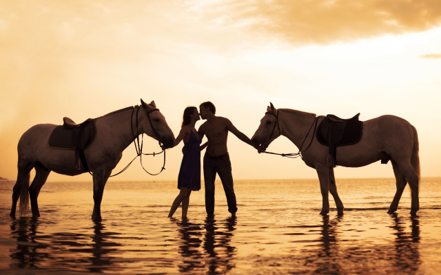 5456x3709 pix. Wallpaper couple, horse, sunset, kiss, love, sea, beach, animals