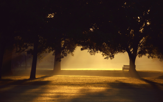 2560x1600 pix. Wallpaper trees, sunlight, mist, photography, benches, sunset