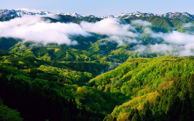1920x1080 pix. Wallpaper mountain, hill, trees, forest, mist, photography, landscape, nature