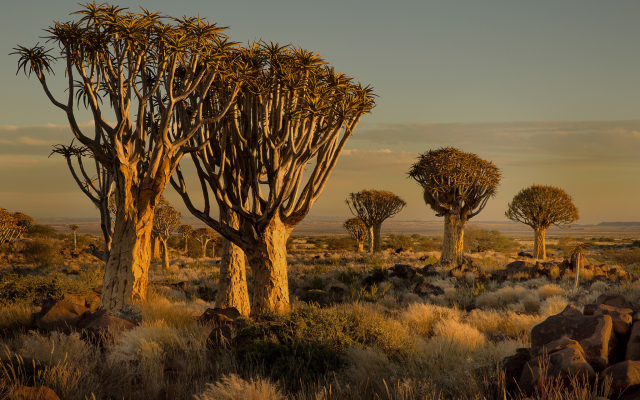 2048x1365 pix. Wallpaper Namibia, Africa, nature, landscape