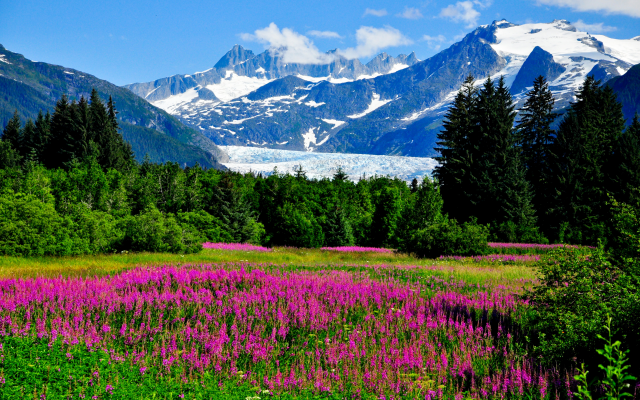 3011x2000 pix. Wallpaper usa, alaska, mountains, rocks, glacier, valley, flowers, nature