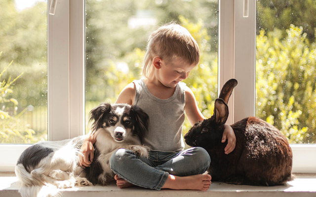 3902x2521 pix. Wallpaper boy, rabbit, dog, friends, friendship, window, kid, animals