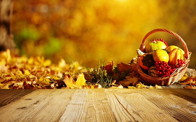 3000x1883 pix. Wallpaper autumn, leaves, pumpkin, leaf, nature