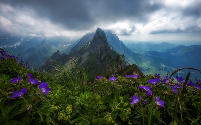 1920x1080 pix. Wallpaper swiss alpstein, switzerland, alps, mountains, peak, clouds, nature, wild flowers