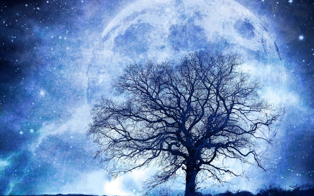 2000x1350 pix. Wallpaper fantasy, moon, tree, stars, art, dry tree
