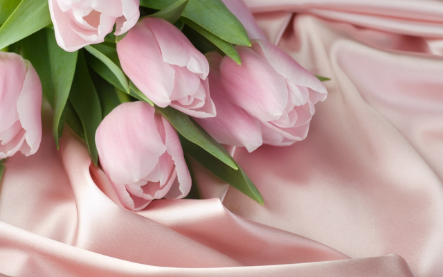1920x1200 pix. Wallpaper silk, pink, bouquet, tulips, flowers