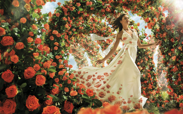 2000x1167 pix. Wallpaper rose, wedding dress, flowers, women