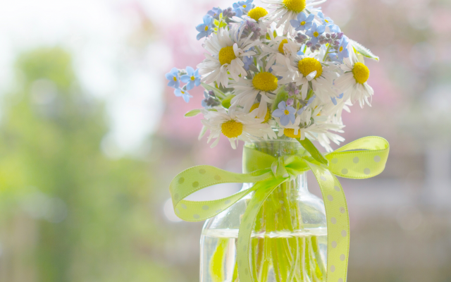 3065x2300 pix. Wallpaper daisies, forget-me-not, bouquet, ribbon, bottle, bokeh, nature