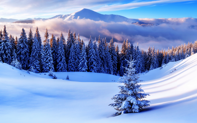 5120x3413 pix. Wallpaper winter, nature, mountains, snow, forest