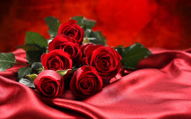 5000x3081 pix. Wallpaper roses, flowers, bouquet, red roses