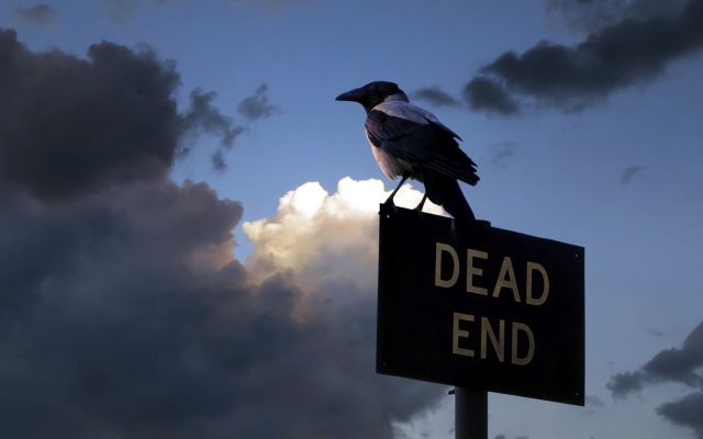 1920x1280 pix. Wallpaper crow, sign, birds, animals, dead end