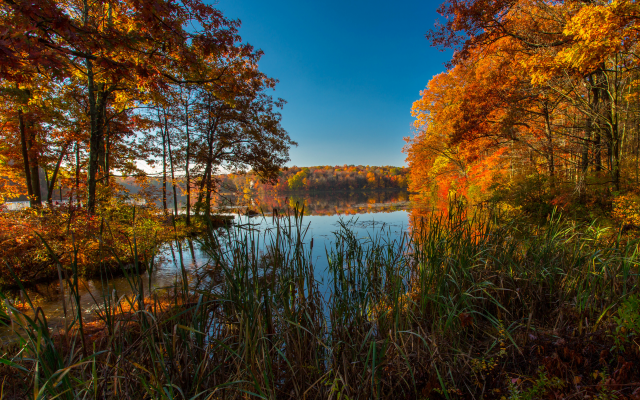 3600x2200 pix. Wallpaper nature, autumn, pond, leaf, fall