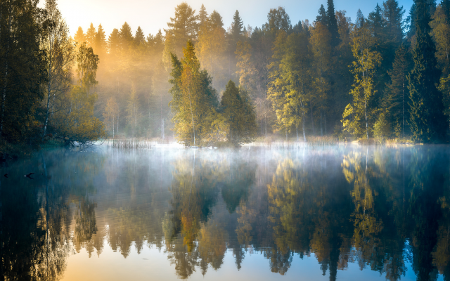2048x1492 pix. Wallpaper nature, fall, finland, forest, pond, lake, morning, sunrise, fog