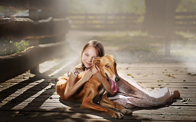 2560x1621 pix. Wallpaper porch, sunlight, girl, smile, girl and dog, dog, animals