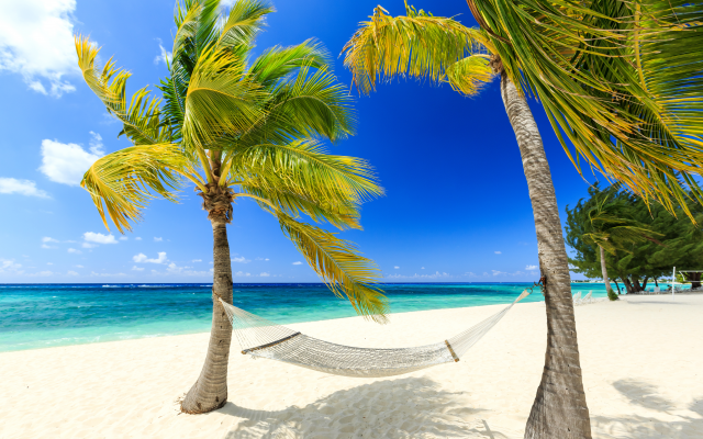 4500x3000 pix. Wallpaper resort, palm trees, vacation, hammock, beach, ocean, caribbean beach