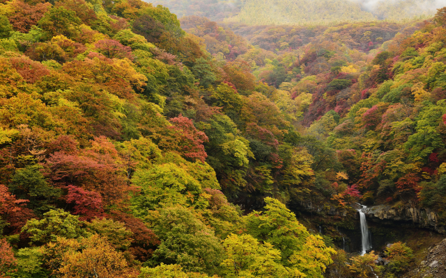 5616x3748 pix. Wallpaper autumn, forest, nature, waterfall, irohazaka, japan