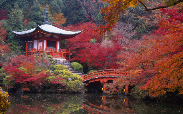 1920x1080 pix. Wallpaper japan, tree, buddhist temple of daigo-ji, daigo-ji, temple, autumn, pond