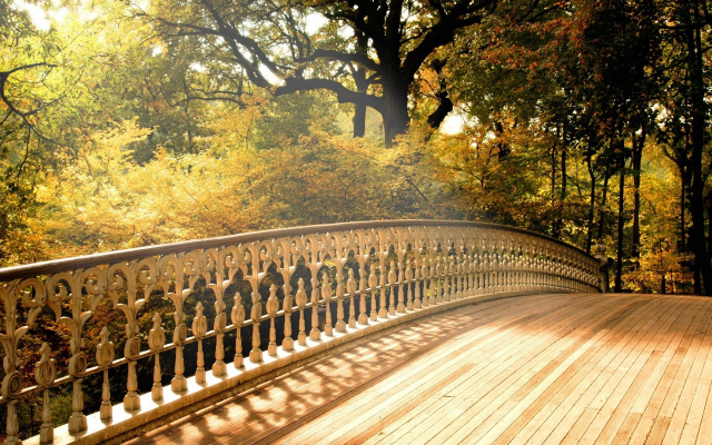 2000x1376 pix. Wallpaper bridge, tree, autumn, leaf, nature