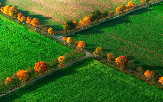 1920x1080 pix. Wallpaper nottuln, germany, autumn, nature, road, grass, field, tree