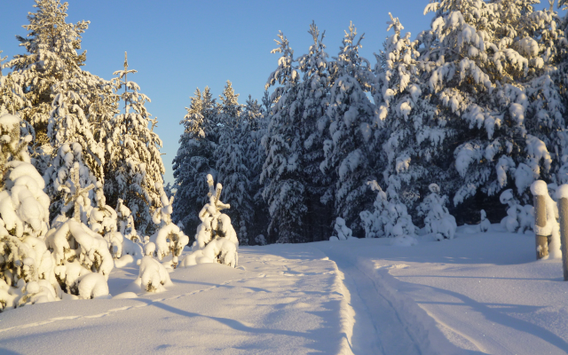 4320x3240 pix. Wallpaper nature, winter, snow, forest, beautiful, path