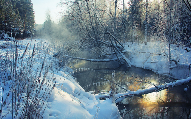 1920x1279 pix. Wallpaper river, winter, forest, tree, snow, nature