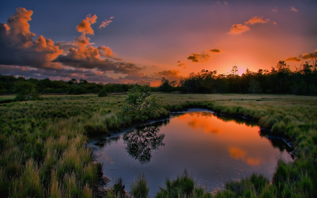 1920x1200 pix. Wallpaper sunset, water, grass, tree, reflection, nature