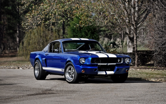 2880x1800 pix. Wallpaper 1966 shelby ford mustang dt350r, ford mustang, ford, shelby, cars, muscle cars