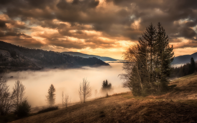 2048x1232 pix. Wallpaper autumn, tree, mountains, fog, sunset, clouds, nature