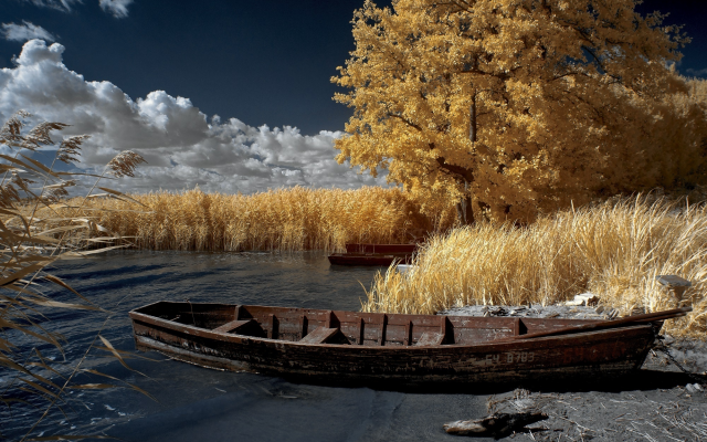 2000x1329 pix. Wallpaper clouds, lake, reeds, boat, summer, nature