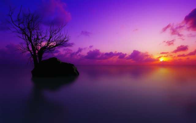 2560x1600 pix. Wallpaper tree, sunset, lake, sky, clouds, nature