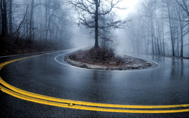 4265x2671 pix. Wallpaper road, tree, turn, fog, u-turn