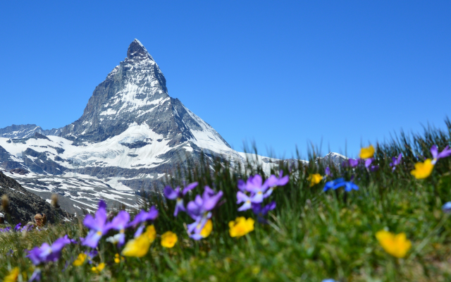3840x2160 pix. Wallpaper matterhorn, alps, switzerland, peak, mountains, flowers, sky, nature, grass