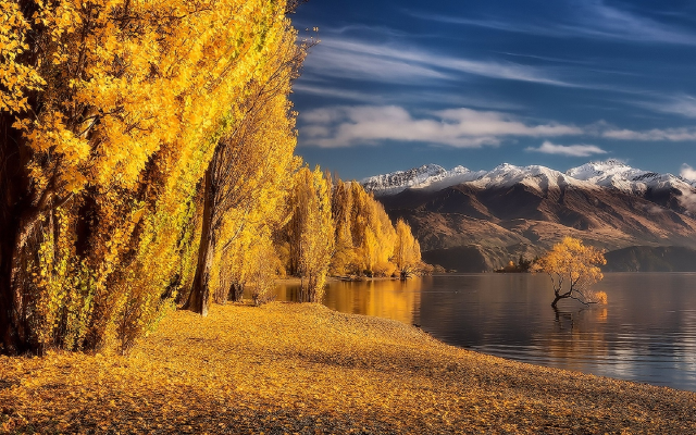 1920x1200 pix. Wallpaper lake wanaka, new zealand, autumn, mountains, nature, tree, lake