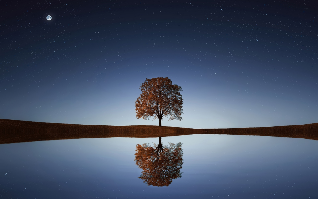 1920x1278 pix. Wallpaper water, reflection, tree, night, stars, moon