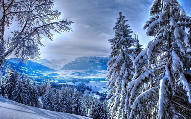 1920x1080 pix. Wallpaper landscape, spruce, tree, snow, winter, nature