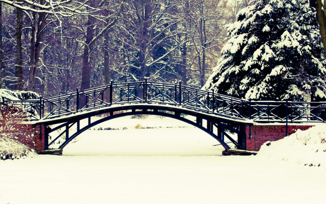 5120x3413 pix. Wallpaper winter, bridge, park, tree, snow, nature