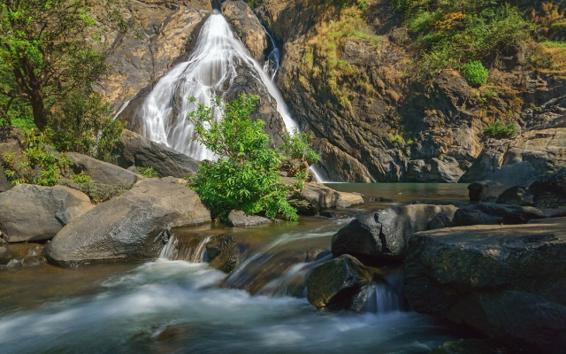 2000x1333 pix. Wallpaper reserve bhagwan mahavir, goa, waterfall, river, nature, india