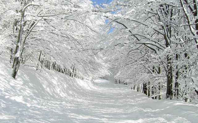 1920x1080 pix. Wallpaper winter, snow, road, beautiful, nature