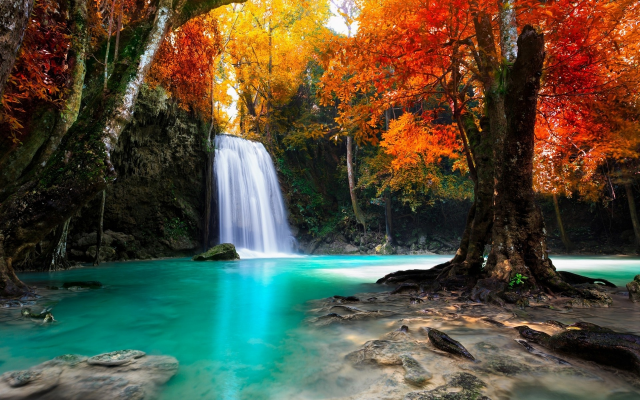1920x1200 pix. Wallpaper tree, waterfall, nature, landscape, nature, autumn