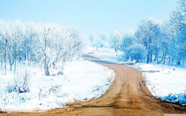 2560x1440 pix. Wallpaper forest, snow, winter, road, nature