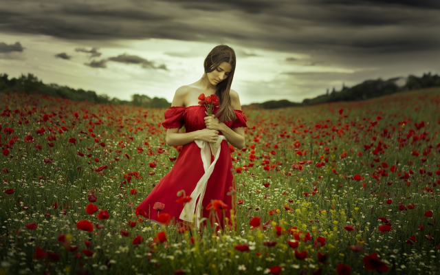 2048x1337 pix. Wallpaper girl, nature, poppies, summer, cloudy, flowers, field, women, red dress, brunette