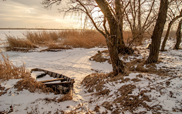1920x1278 pix. Wallpaper tree, reeds, snow, boat, winter, lake, nature