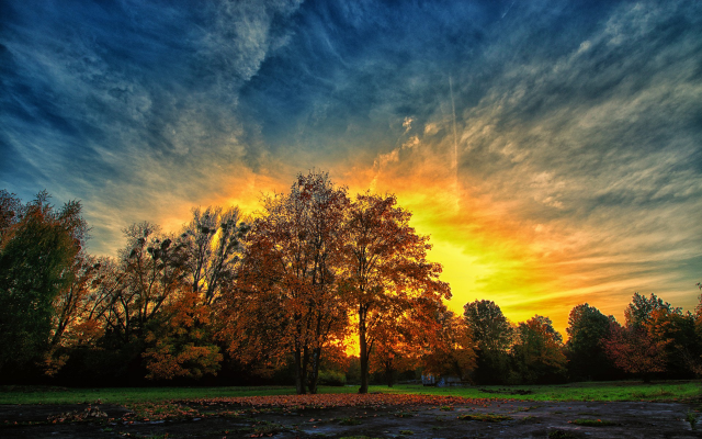 1920x1200 pix. Wallpaper sunset, tree, forest, clouds, sky