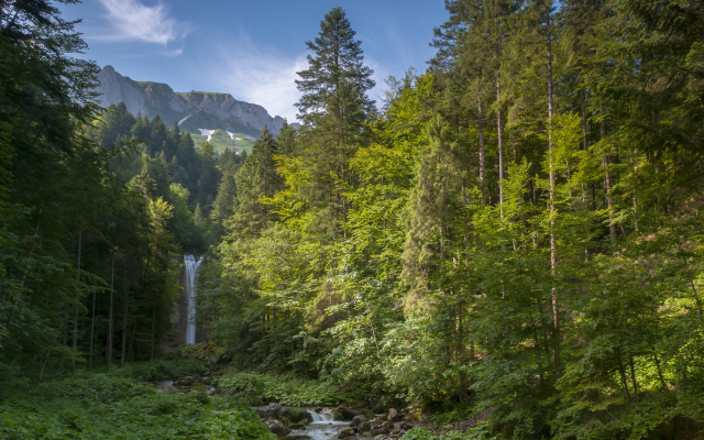 4261x2848 pix. Wallpaper leuenfall, appenzell, forest, grass, tree, waterfall, alps, mountains, nature