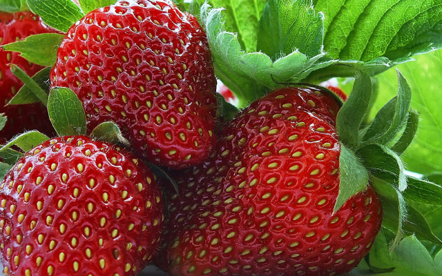 1920x1080 pix. Wallpaper strawberry, food, berry