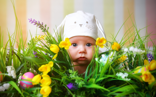 7500x4384 pix. Wallpaper baby, child, cap, bunny, grass, flowers, tulips, eggs, easter, holidays