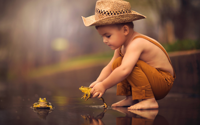 2048x1564 pix. Wallpaper child, boy, hat, nature, water, frog, animals