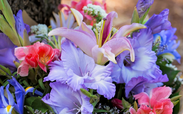 2048x1365 pix. Wallpaper flowers, gladiolus, bouquet, lily, iris, lilies