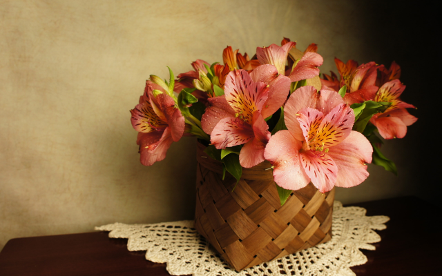 2560x1704 pix. Wallpaper flowers, alstroemeria, basket, napkin