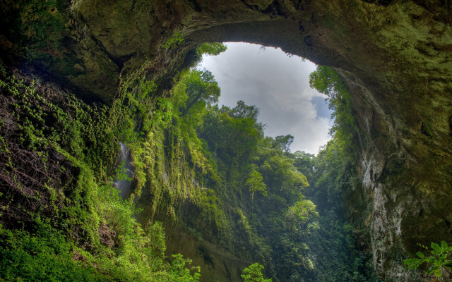 2560x1600 pix. Wallpaper El Yunque, Puerto Rico, nature, landscape, cave, forest, overcast, trees